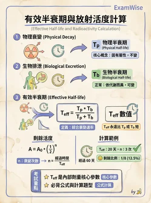 放射 - 體內劑量 - AI 圖文解析預覽