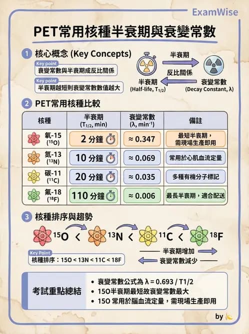 放射 - 放射性活度與衰變計算 - AI 圖文解析預覽