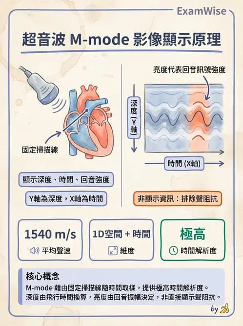 放射 - 超音波成像與都卜勒 - AI 圖文解析預覽