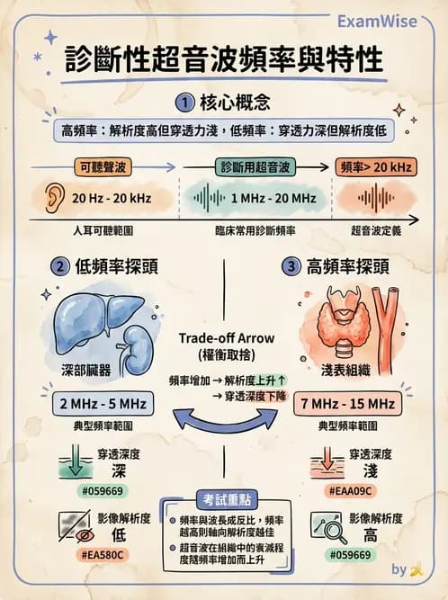 放射 - 超音波物理與換能器 - AI 圖文解析預覽