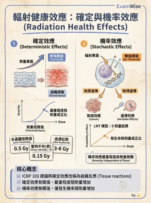 放射 - 全身性輻射效應 - AI 圖文解析預覽
