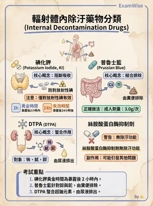 放射 - 全身性輻射效應 - AI 圖文解析預覽