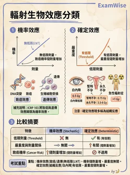 放射 - 全身性輻射效應 - AI 圖文解析預覽