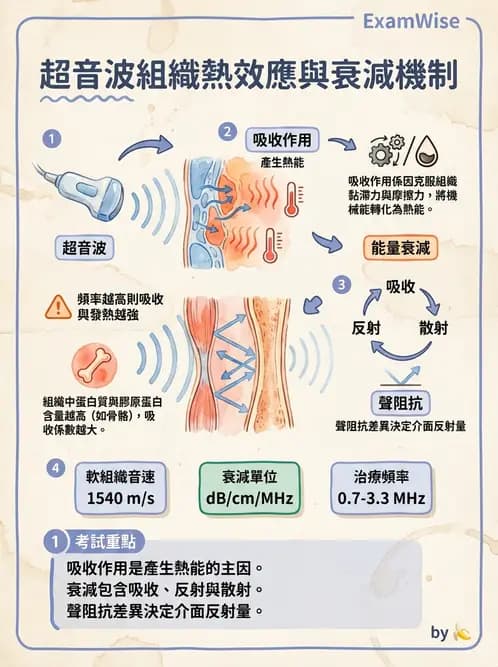 放射 - 超音波物理與系統原理 - AI 圖文解析預覽
