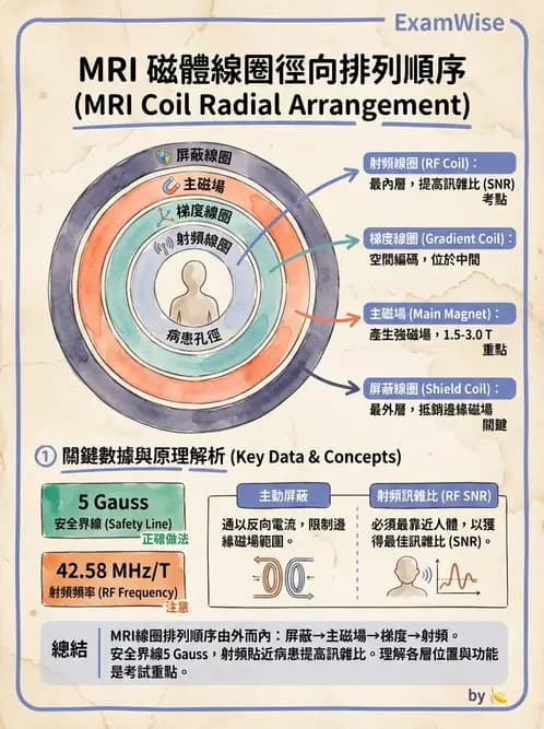 放射 - 主磁場、磁鐵類型與勻場 - AI 圖文解析預覽