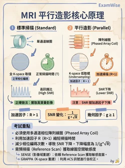 放射 - 射頻系統與線圈 - AI 圖文解析預覽