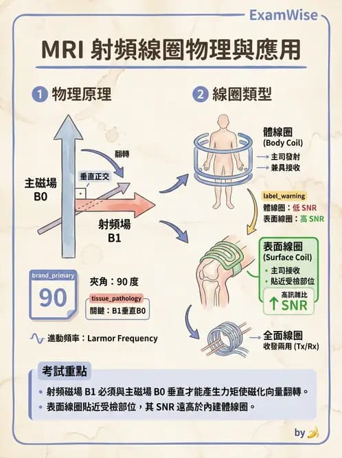 放射 - 射頻系統與線圈 - AI 圖文解析預覽