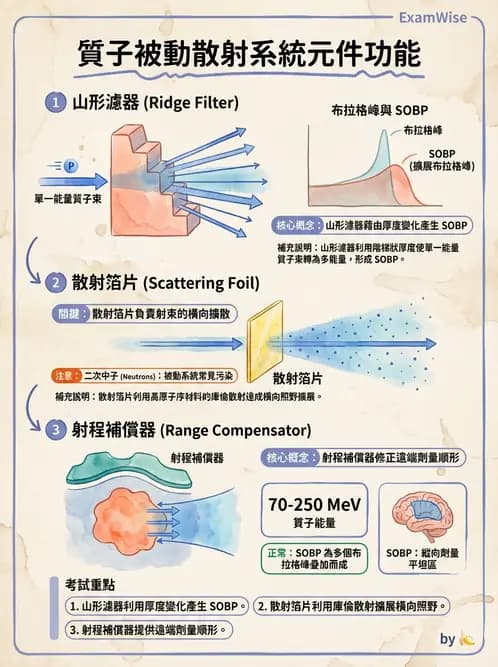 放射 - 質子及中子治療機 - AI 圖文解析預覽