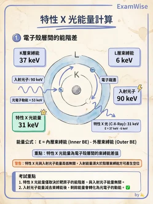 放射 - X光產生原理與管球設備 - AI 圖文解析預覽