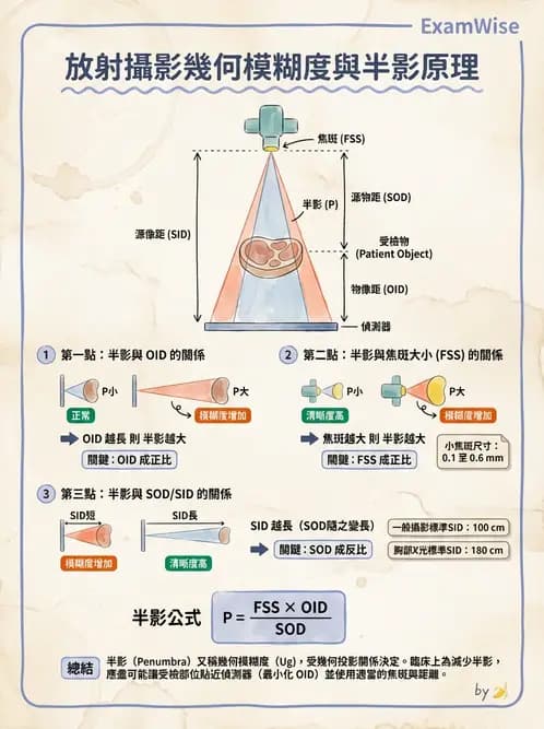 放射 - X光交互作用與影像品質 - AI 圖文解析預覽