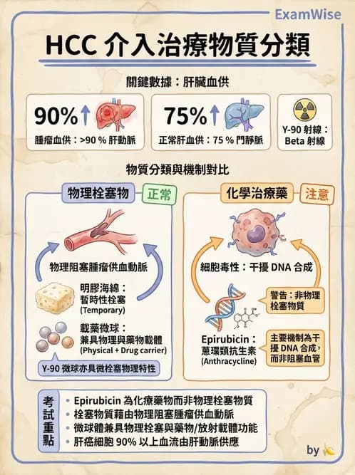 放射 - 導管技術與介入性治療 - AI 圖文解析預覽