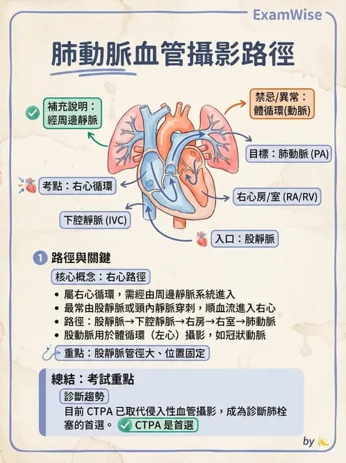 放射 - 導管技術與介入性治療 - AI 圖文解析預覽
