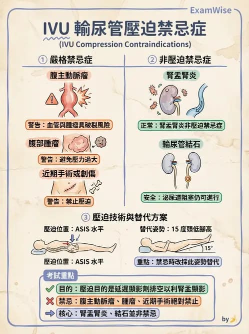 放射 - 泌尿生殖攝影 - AI 圖文解析預覽