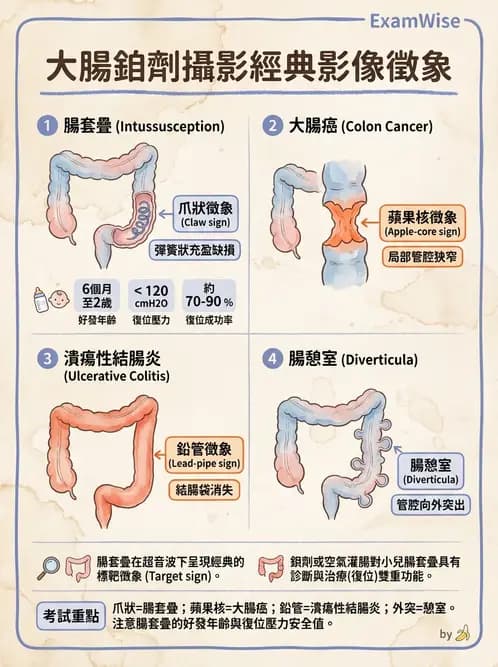 放射 - 消化道造影 - AI 圖文解析預覽