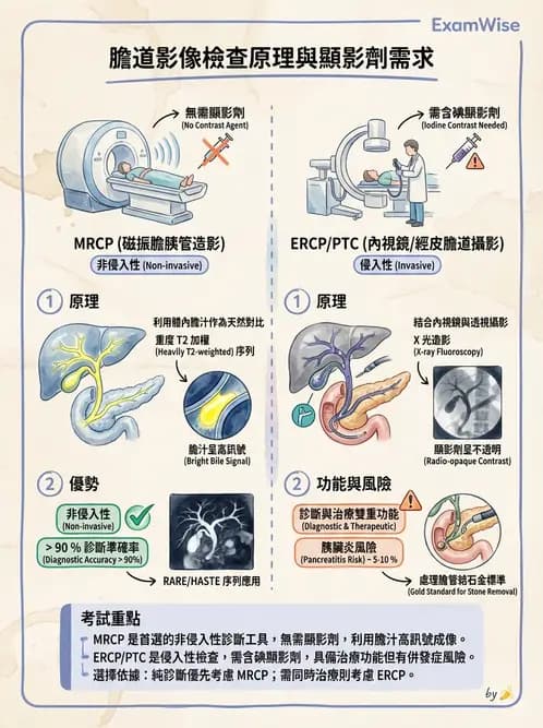 放射 - 乳房攝影與其他特殊檢查 - AI 圖文解析預覽