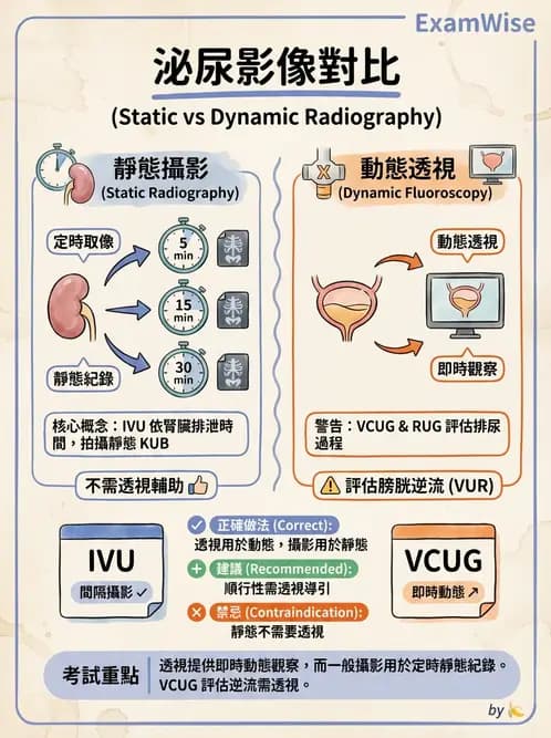 放射 - 泌尿生殖攝影 - AI 圖文解析預覽
