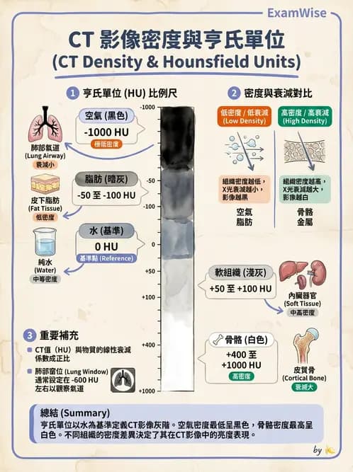 放射 - CT物理原理與掃描技術 - AI 圖文解析預覽