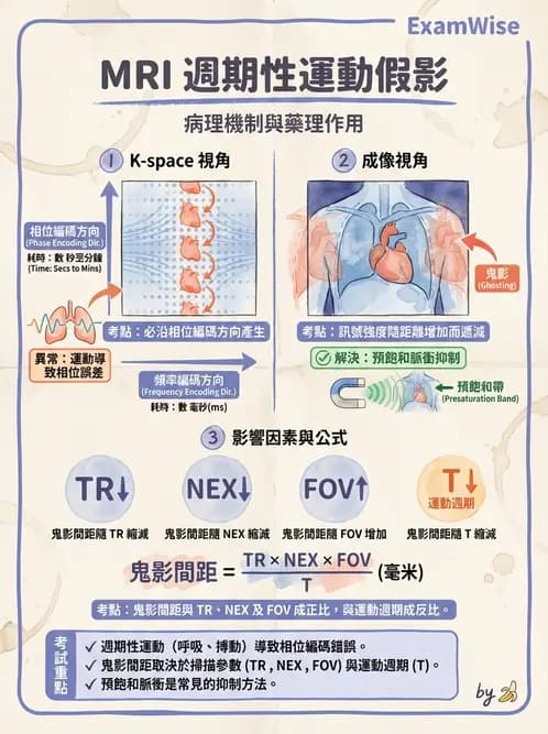 放射 - 磁振影像品質與參數 - AI 圖文解析預覽