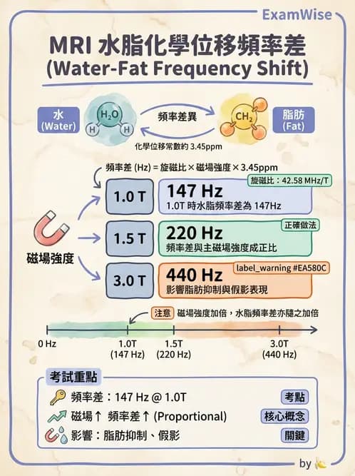 放射 - 磁振造影原理 - AI 圖文解析預覽