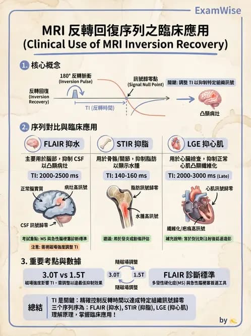 放射 - MRI脈衝序列與訊號技術 - AI 圖文解析預覽