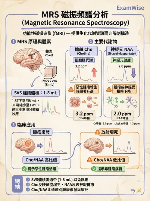 放射 - MRI脈衝序列與訊號技術 - AI 圖文解析預覽