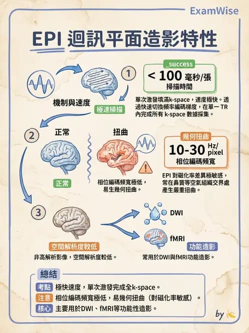 放射 - MRI脈衝序列與訊號技術 - AI 圖文解析預覽