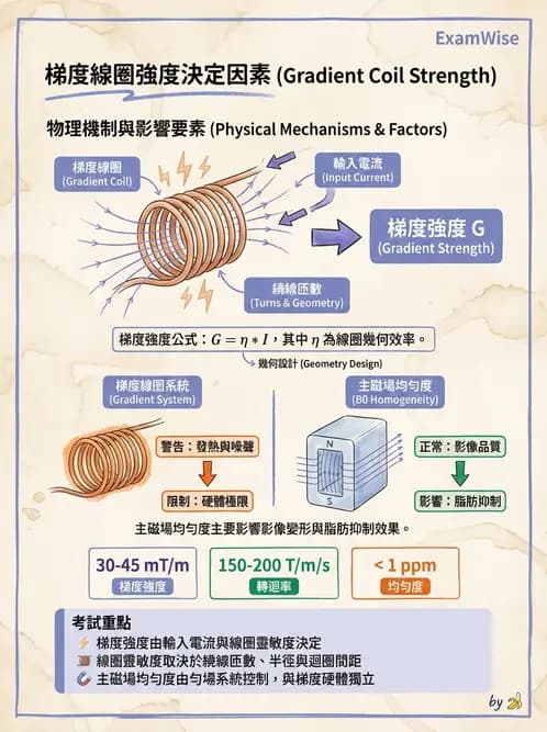 放射 - MRI系統硬體 - AI 圖文解析預覽