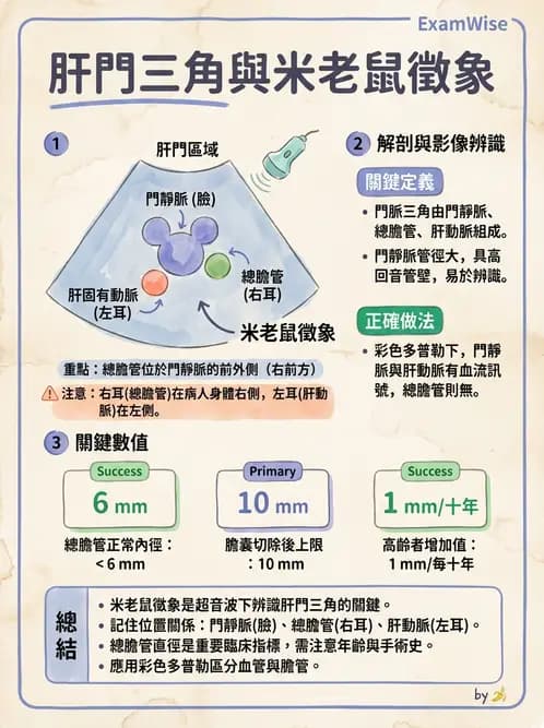 放射 - 膽胰脾超音波 - AI 圖文解析預覽