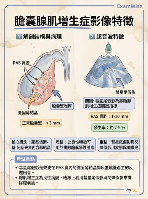 放射 - 膽胰脾超音波 - AI 圖文解析預覽