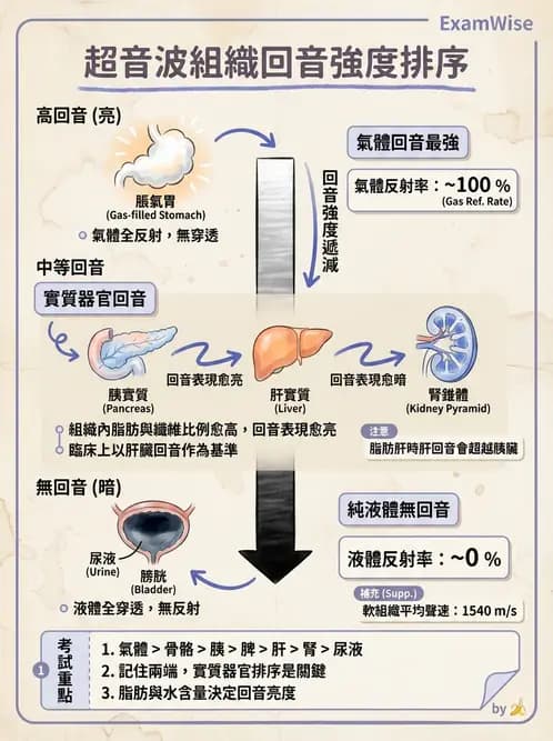 放射 - 超音波物理與技術 - AI 圖文解析預覽