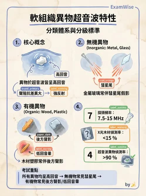 放射 - 超音波物理與技術 - AI 圖文解析預覽