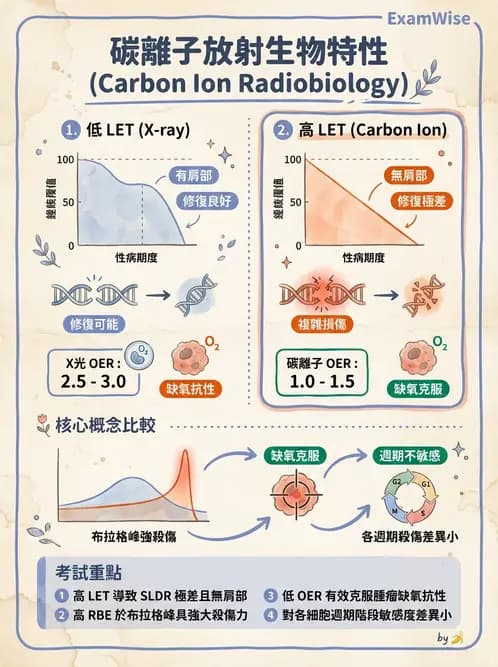 放射 - LET、RBE、OER與復氧效應 - AI 圖文解析預覽