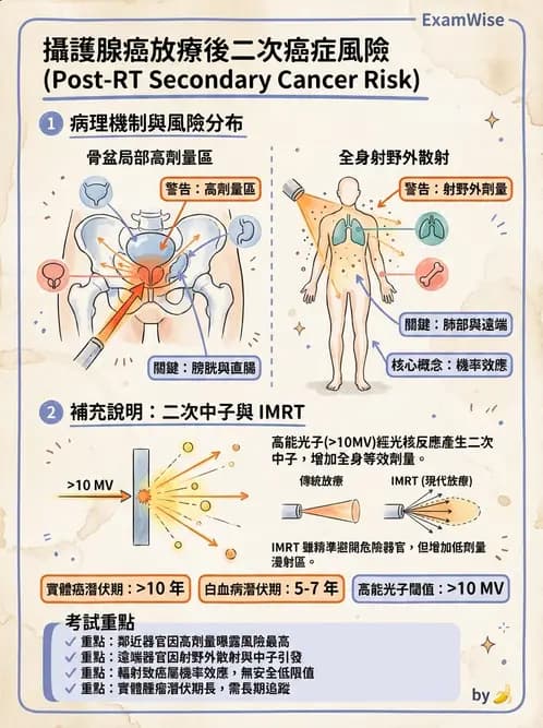 放射 - 輻射致癌與遺傳效應 - AI 圖文解析預覽