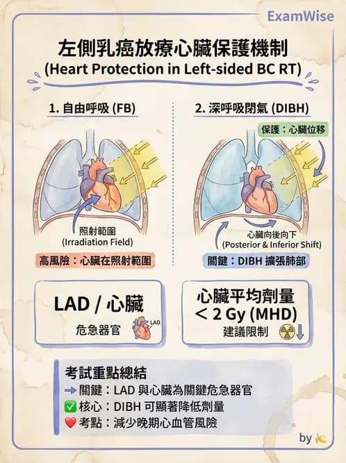 放射 - 影像導引放射治療(IGRT)與臨床應用 - AI 圖文解析預覽