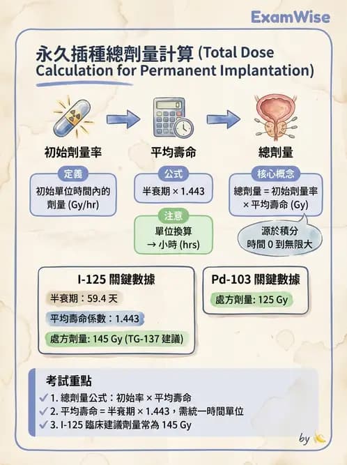 放射 - 插種近接治療 - AI 圖文解析預覽