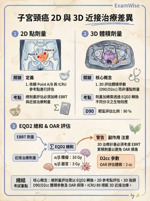 放射 - 腔內近接治療 - AI 圖文解析預覽