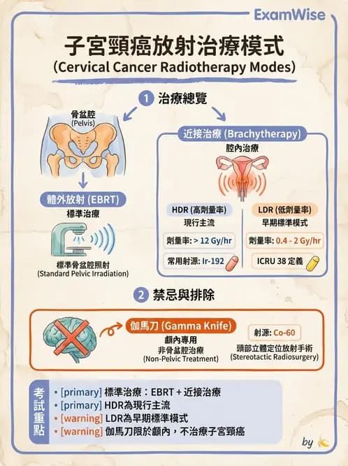 放射 - 腔內近接治療 - AI 圖文解析預覽