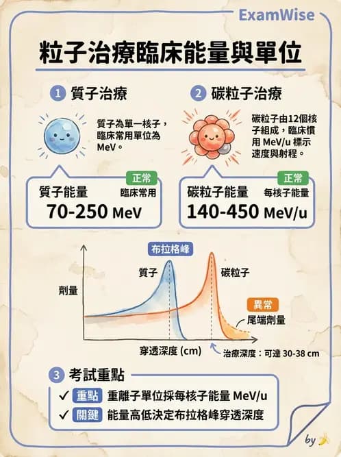 放射 - 質子與粒子治療 - AI 圖文解析預覽
