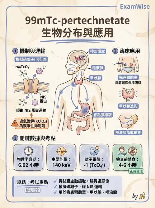 放射 - 肺肝膽與製劑通則 - AI 圖文解析預覽