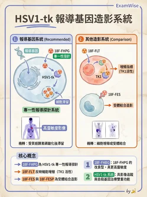 放射 - 腫瘤PET藥物 - AI 圖文解析預覽