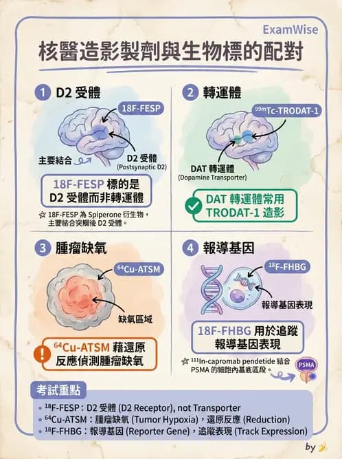 放射 - 腫瘤PET藥物 - AI 圖文解析預覽