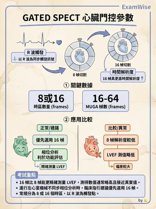 放射 - 心室功能造影 - AI 圖文解析預覽