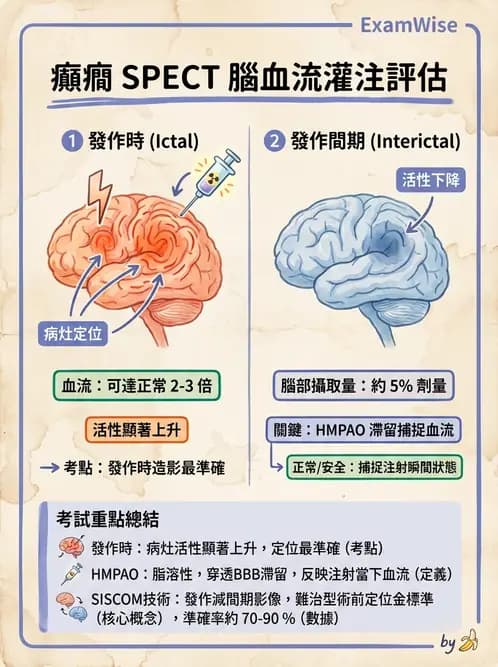放射 - 腦部造影 - AI 圖文解析預覽