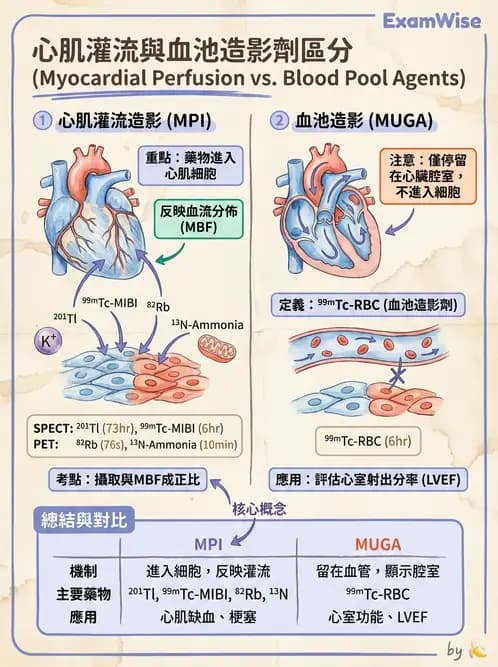 放射 - 心臟灌注造影 - AI 圖文解析預覽