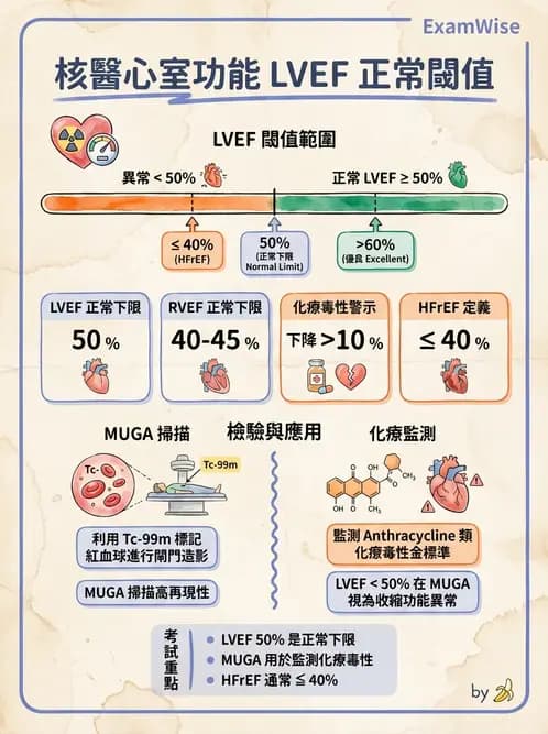 放射 - 心室功能造影 - AI 圖文解析預覽