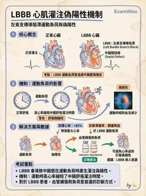 放射 - 心臟灌注造影 - AI 圖文解析預覽