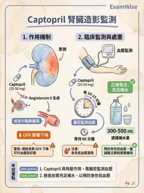 放射 - 腎臟造影 - AI 圖文解析預覽
