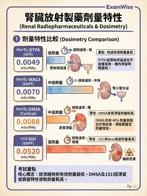 放射 - 體內吸收劑量 - AI 圖文解析預覽
