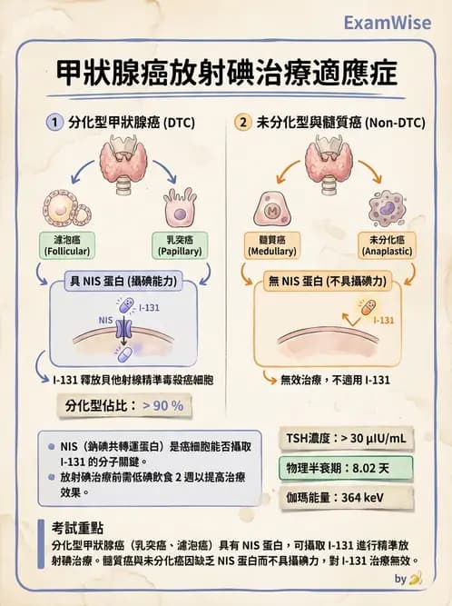 放射 - 腫瘤治療 - AI 圖文解析預覽