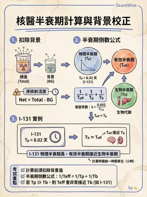 放射 - 腫瘤治療 - AI 圖文解析預覽